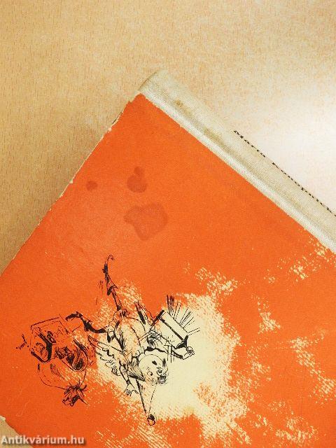 Árva Mariska és a manók