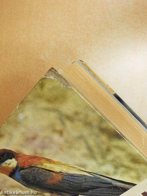 Állathatározó 1-2.