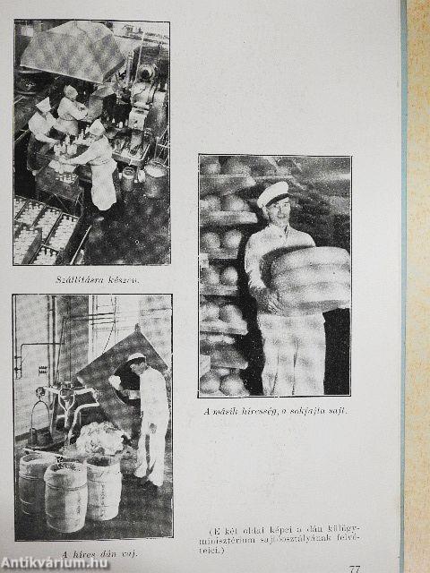 Angliai és dániai útiemlékeim