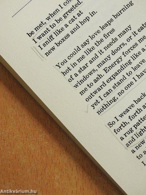 The Twelve-Spoked Wheel Flashing