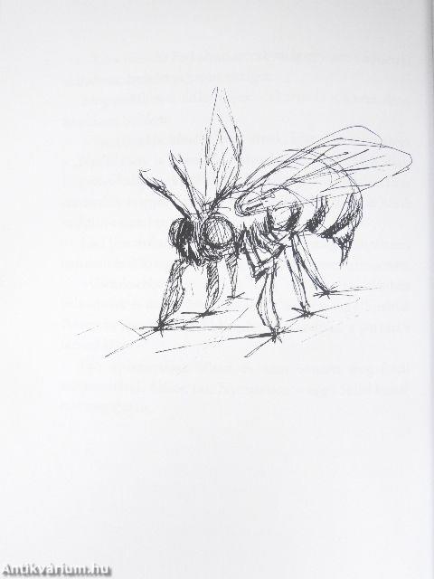 Amíg a gyerekből jóember lesz