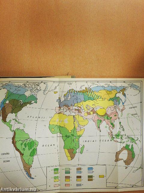 Népek, rasszok, kultúrák