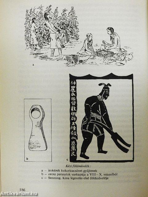 Népek, rasszok, kultúrák