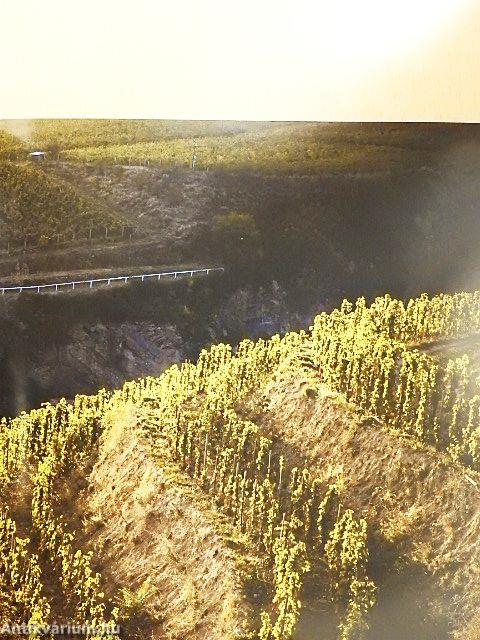 Tájak, borok, legendák és te személyesen