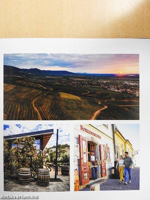 Tájak, borok, legendák és te személyesen