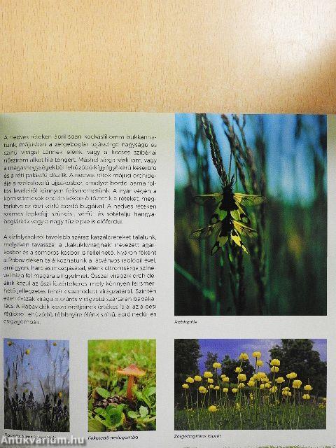 Őrség és vidéke turistakalauz