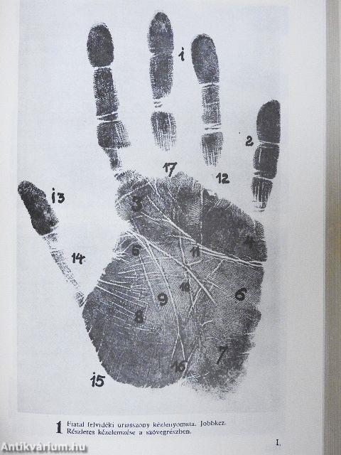 Kézvonalak-embersorsok