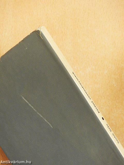 Párizsi ceruzajegyzetek