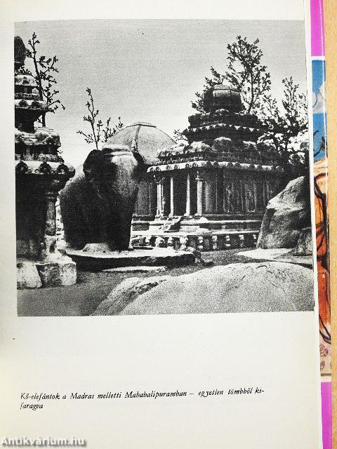 Japán a Kakas évében