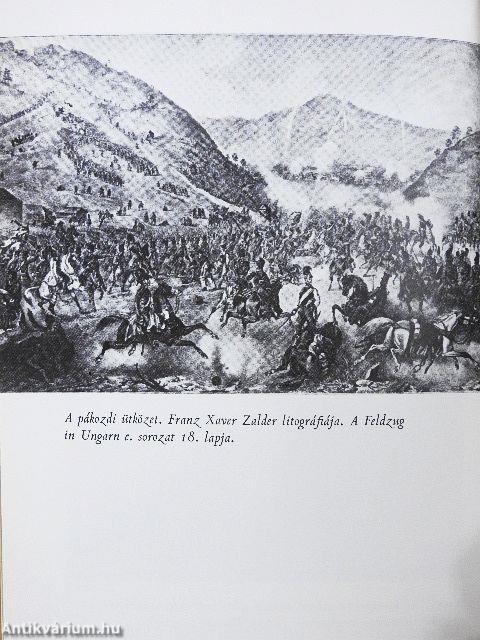 1848 júniusától novemberéig