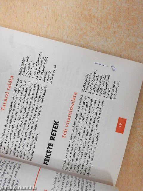 Fakanál Recepttár 1999/1