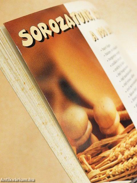 A 100 legjobb egytálétel