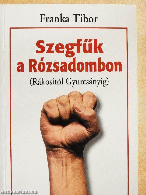 Szegfűk a Rózsadombon