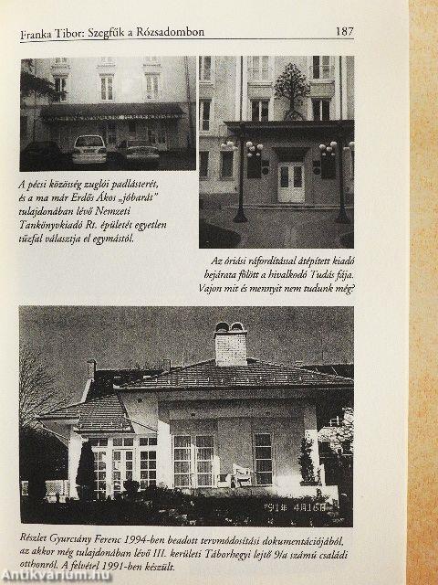 Szegfűk a Rózsadombon