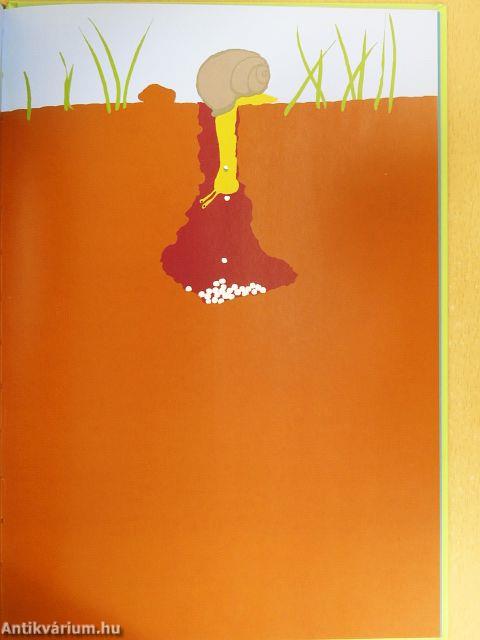 Les sciences naturelles de Tatsu Nagata - L'escargot