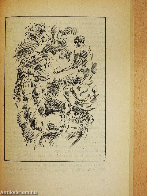 "25 kötet a Delfin könyvek sorozatból (nem teljes sorozat)"