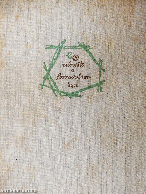 Egy mérnök a forradalomban