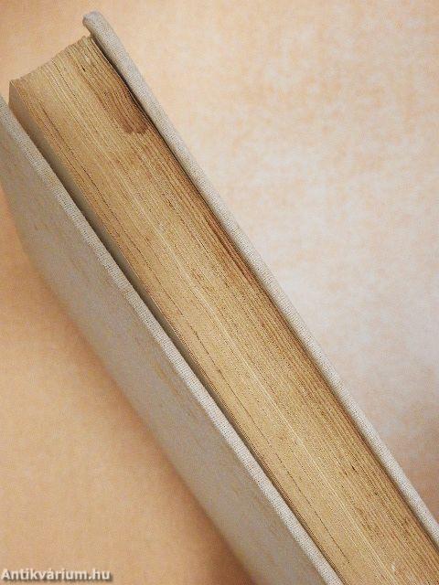 Egy mérnök a forradalomban