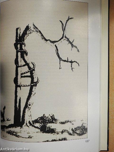 Egy csaknem elfeledett professzor - Zinner Nándor