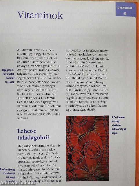 Laborleletek - amit a teszt elárul