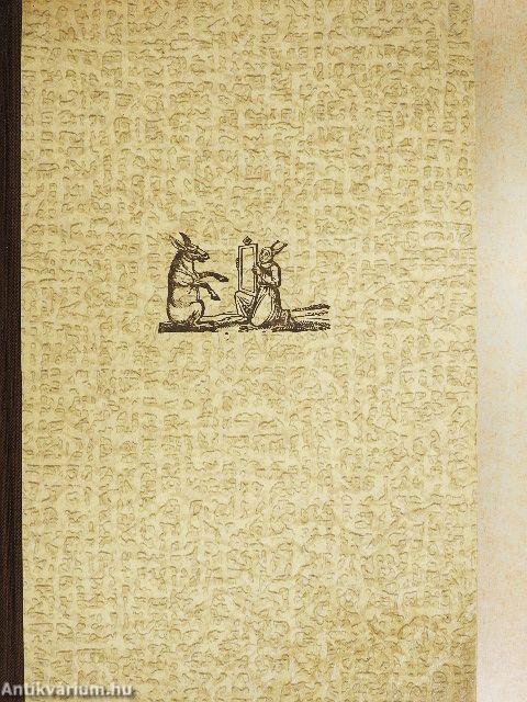 A házasság regényes életrajza