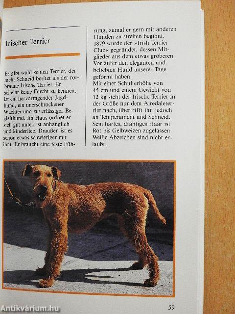 Hunde