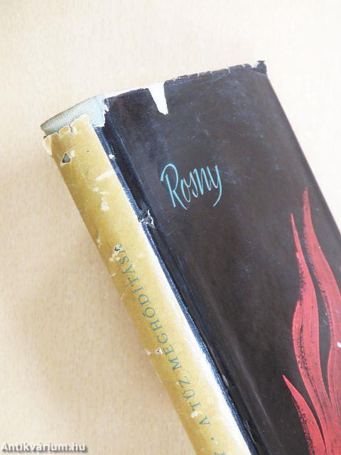 A tűz meghódítása