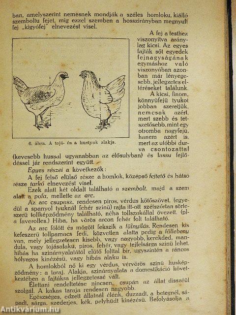 Gazdasági baromfitenyésztés