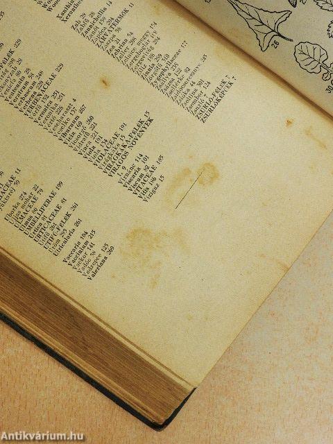 A magyar flóra kis határozója