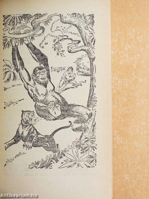 Tarzan dzsungeltörténetei