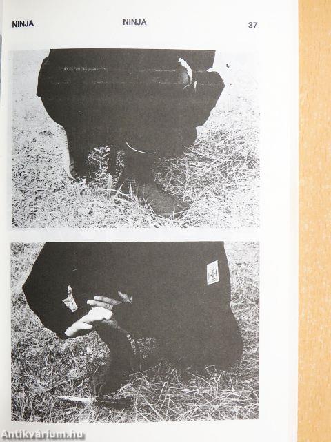 Ninja 2.