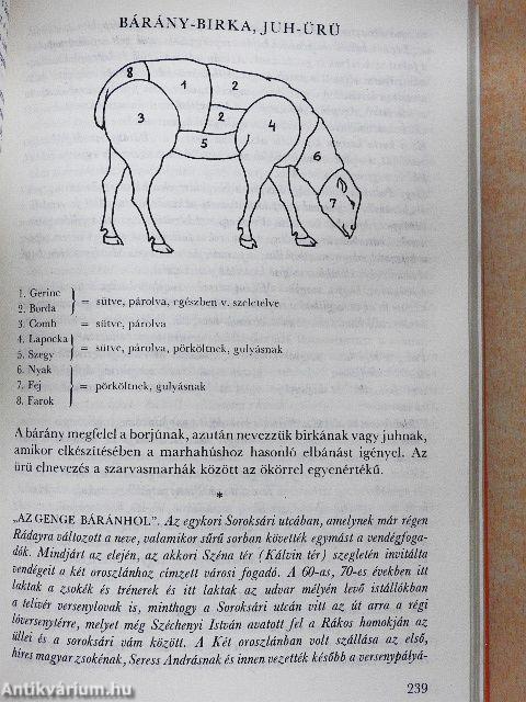 Az ínyesmester szakácskönyve