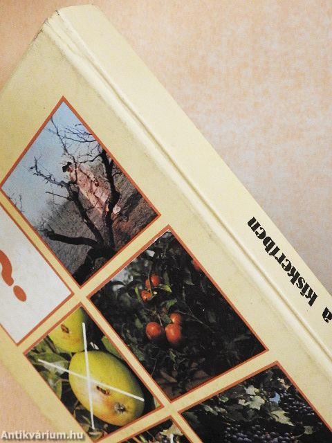 Növényvédelem a kiskertben