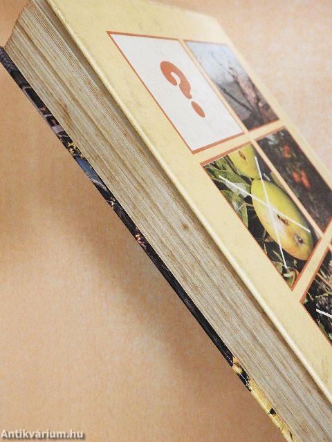 Növényvédelem a kiskertben