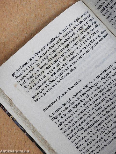 Növényvédelem a kiskertben