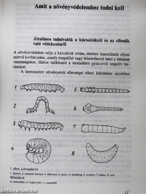 Növényvédelem a kiskertben