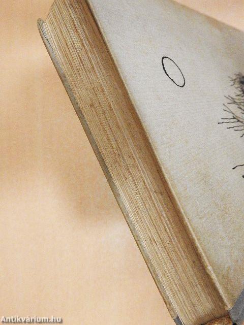 Egyszer-volt szerelem