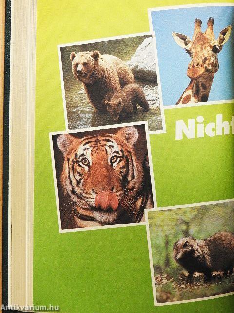 Unter dem Kalanderbaum/Nichts als Tiere im Kopf/In bester Absicht/Zahm und zerbrochen