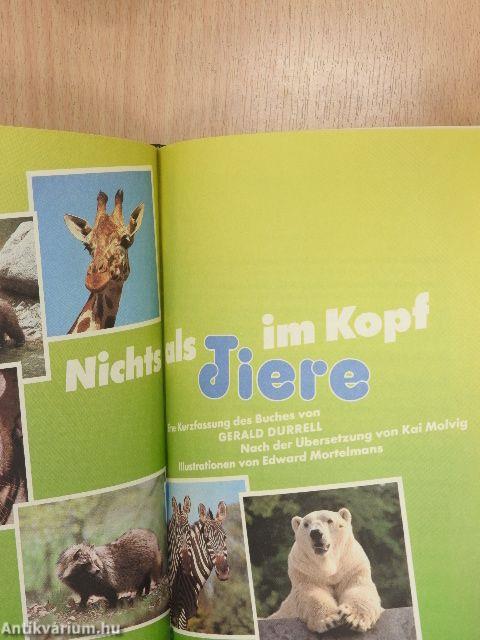 Unter dem Kalanderbaum/Nichts als Tiere im Kopf/In bester Absicht/Zahm und zerbrochen