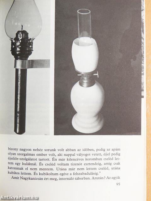 S középen ott a Velencei-tó...