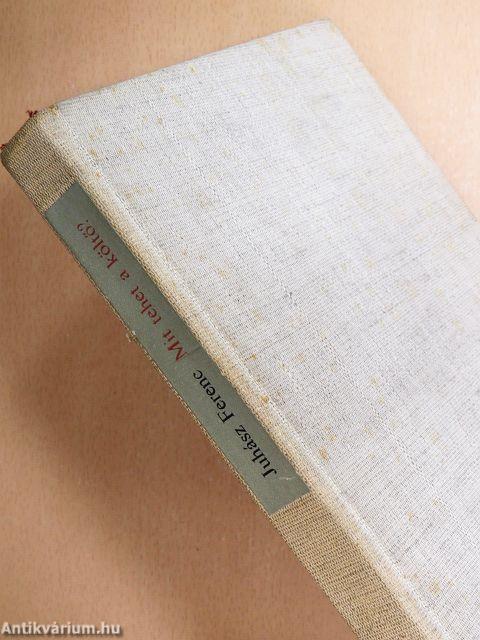 Mit tehet a költő?