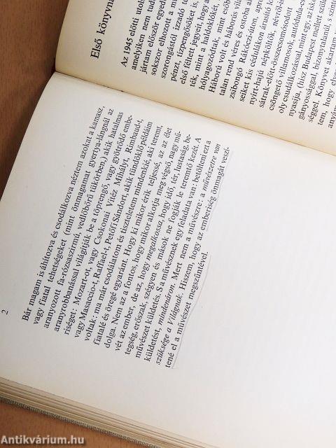 Mit tehet a költő?