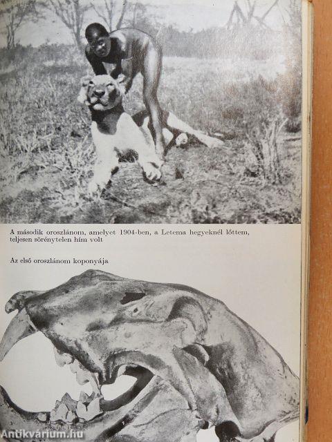 Afrikai vadászemlékek