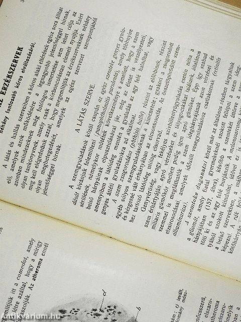 Kórboncolástan II.