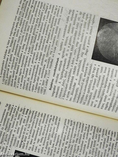 Kórboncolástan II.