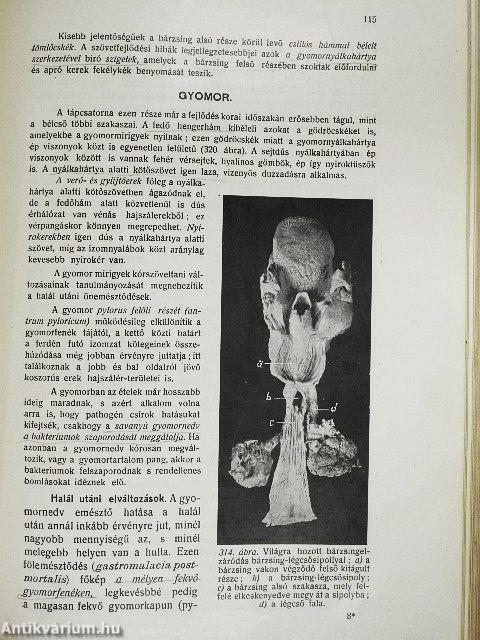 Kórboncolástan II.