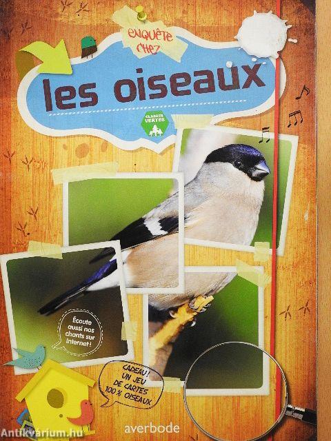 Enquete chez les oiseaux