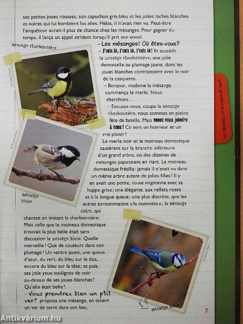 Enquete chez les oiseaux