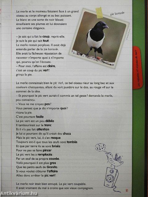 Enquete chez les oiseaux