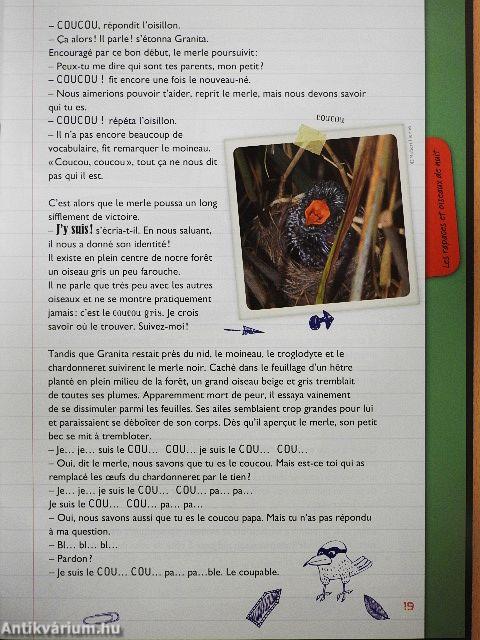 Enquete chez les oiseaux